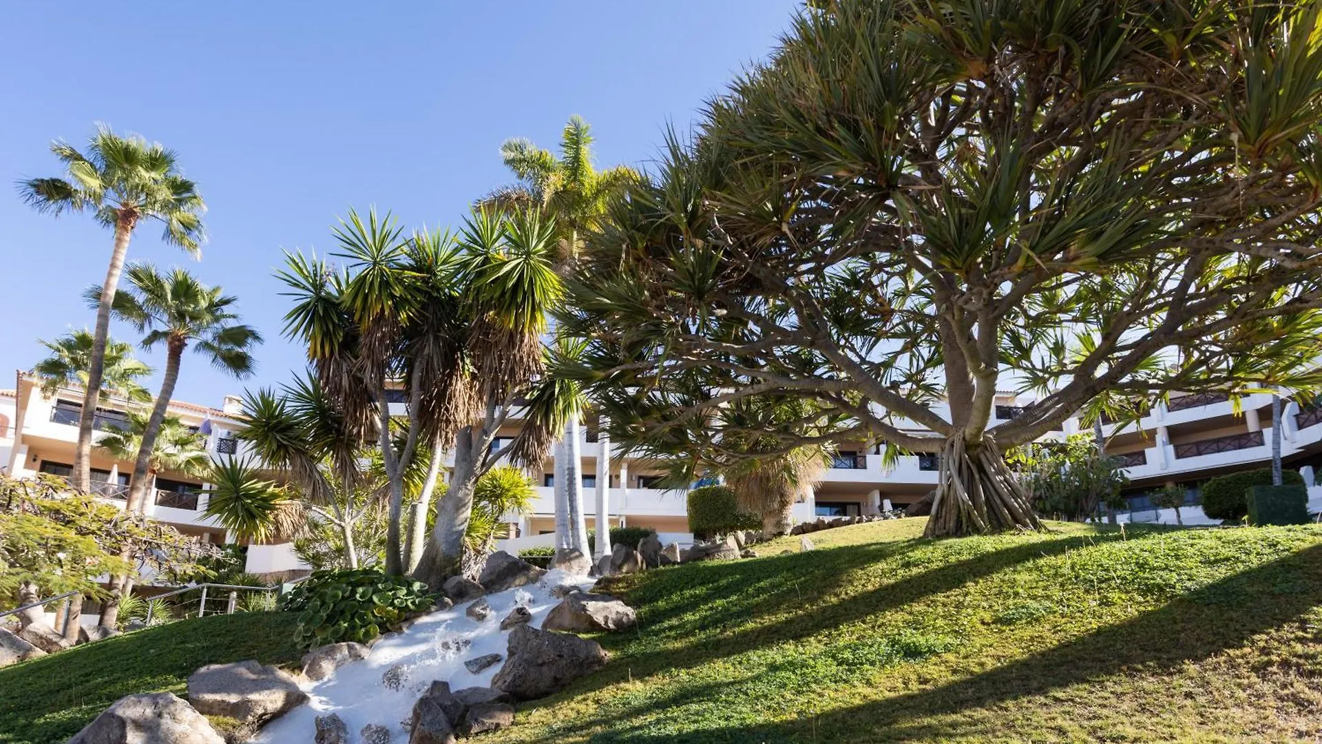 Apartment Albatros 433B Holiday Home In Tenerife South San Miguel de Abona